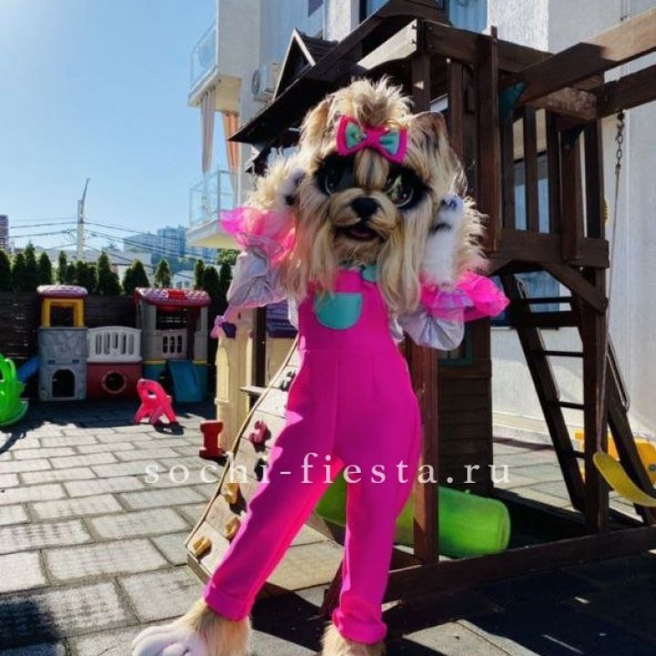 Аниматор Гламурная Собака в Хабаровске
