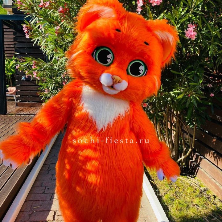 Аниматор Котик в Хабаровске