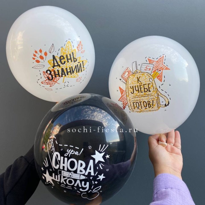 Воздушный шар к 1 сентября в Хабаровске