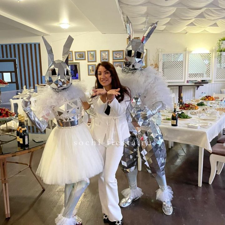 Аниматор Зеркальный заяц в Хабаровске