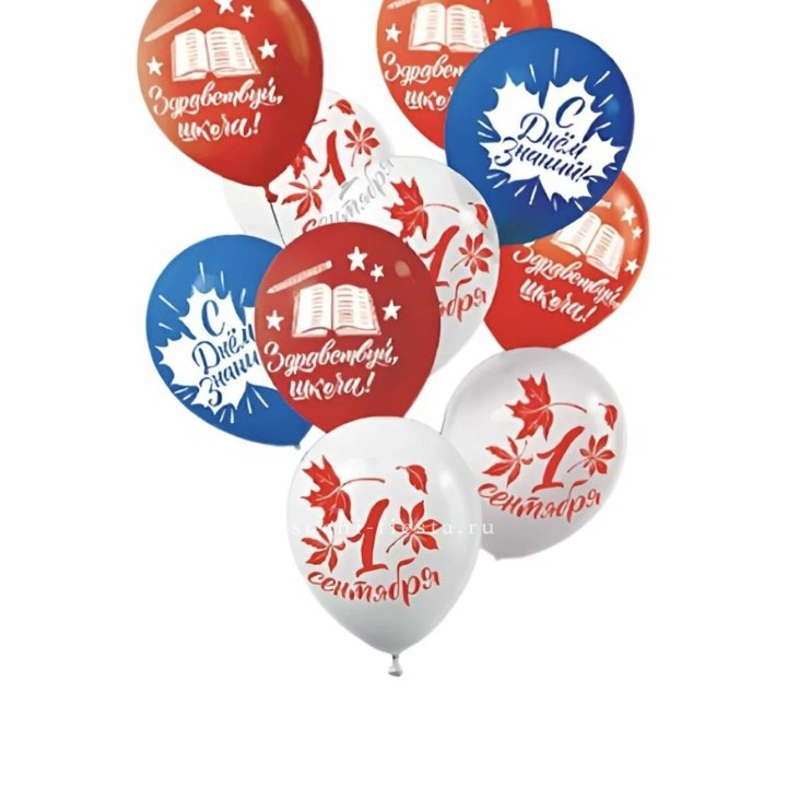 Воздушный шар на день знаний в Хабаровске
