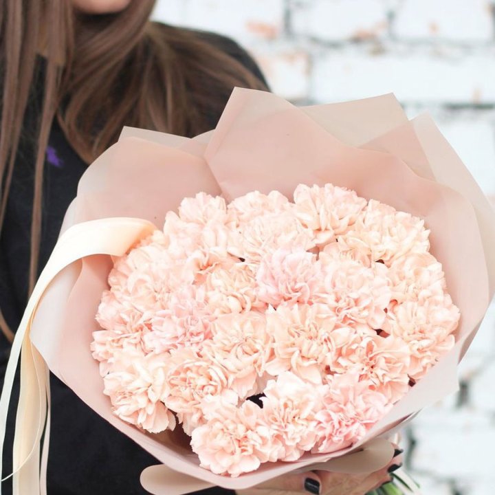 Диантусы №2 в Хабаровске