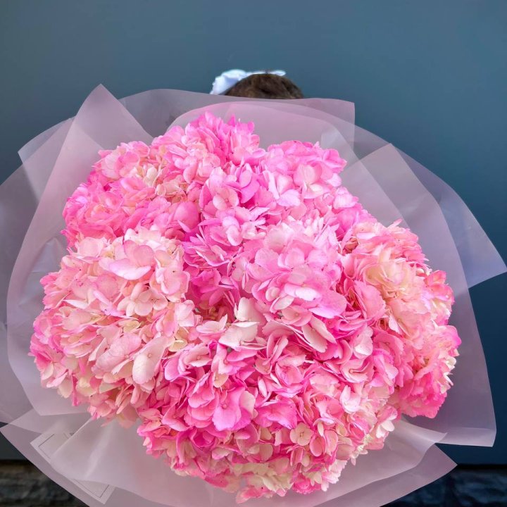 9 ярко розовых гортензий в Хабаровске