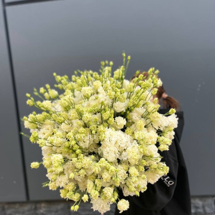 51 белая эустома в Хабаровске