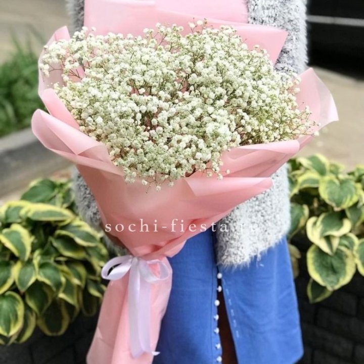 Белоснежные гипсофилы в Хабаровске