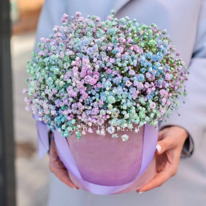 Гипсофилы в шляпной коробке "Кандилайт" в Хабаровске