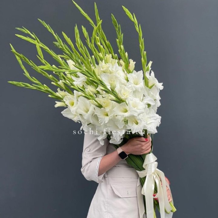 19 белых гладиолусов под ленту в Хабаровске
