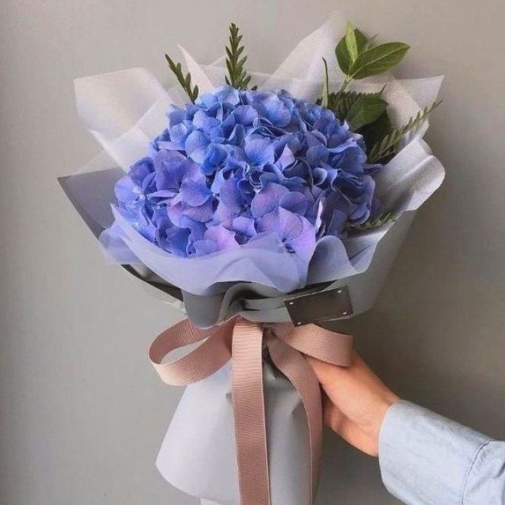 Гортензия голубая в Хабаровске