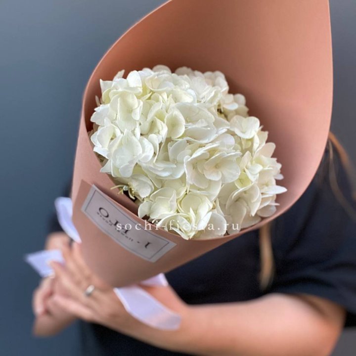 Гортензия в конверте в Хабаровске