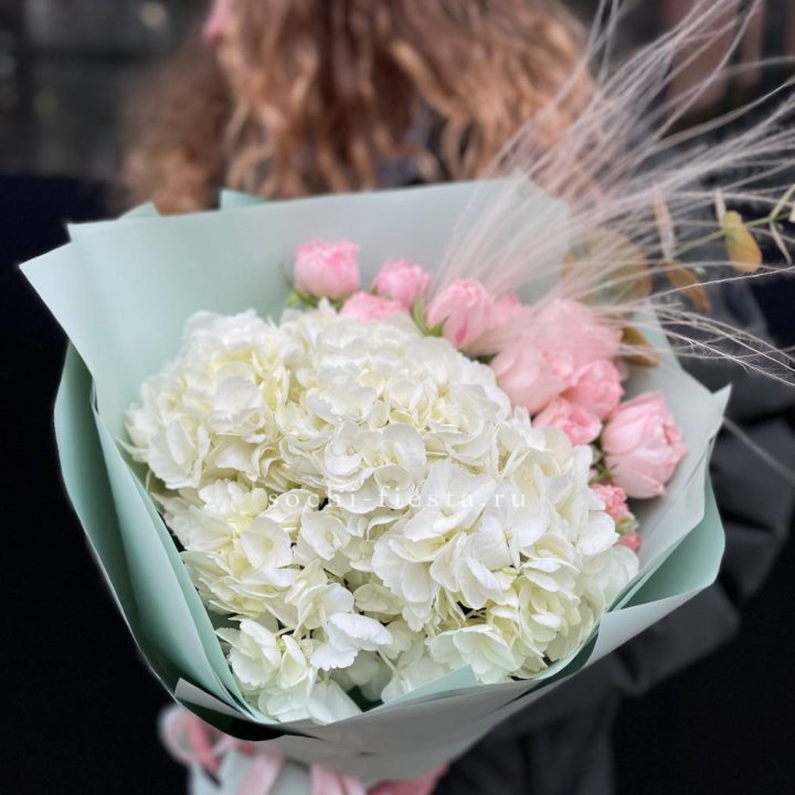 Гортензия "Жасмин" в Хабаровске
