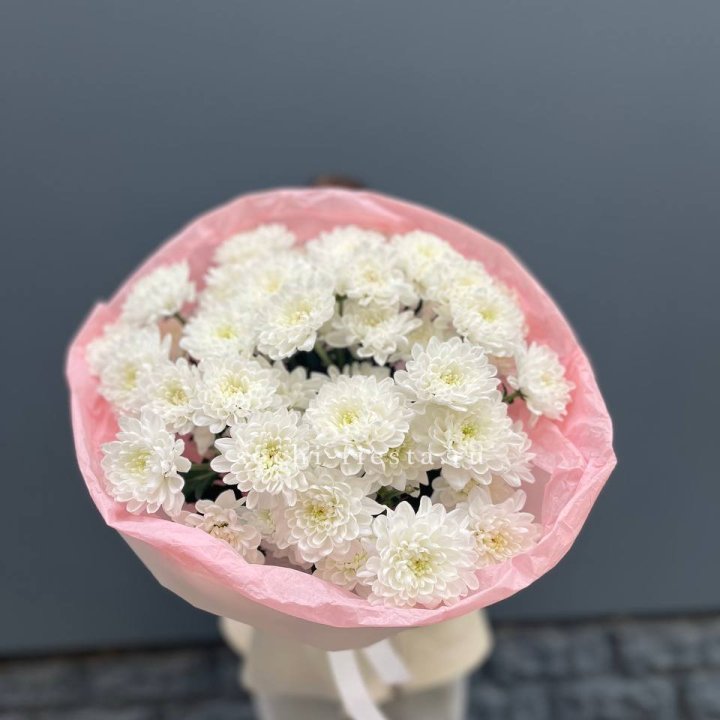  5 хризантем  в Хабаровске