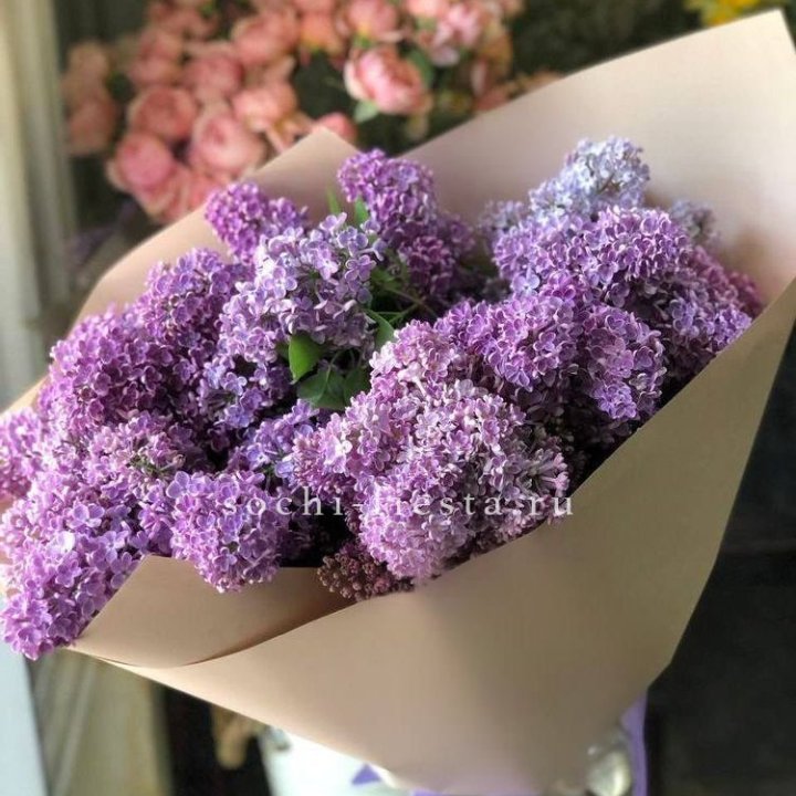 Букет сирени №2 в Хабаровске