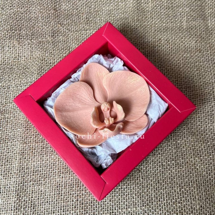 Бельгийский шоколад Орхидея в Хабаровске