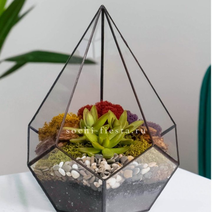 Флорариум Капля с суккулентом в Хабаровске