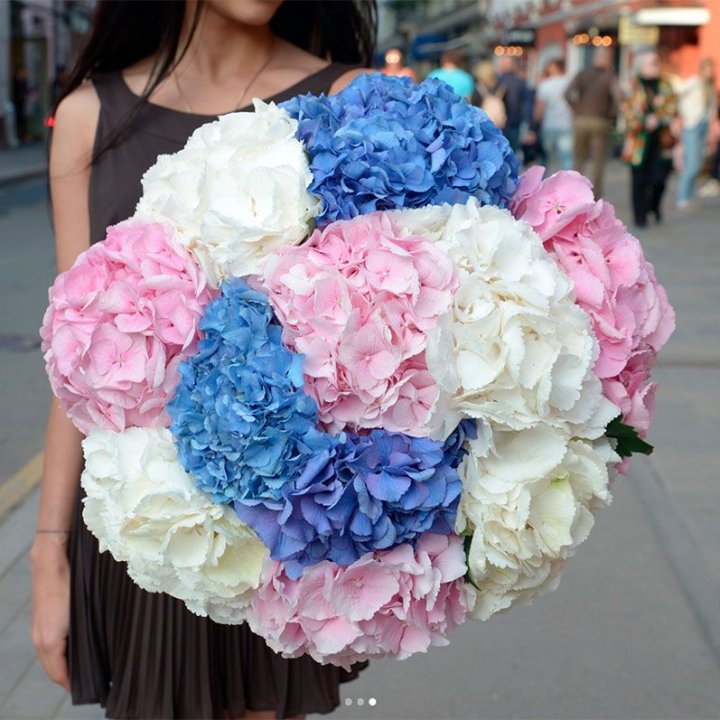 Букет гортензий "Инь-Янь" в Хабаровске