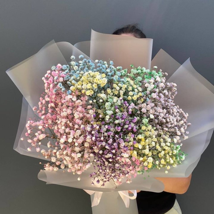 Радужные гипсофилы  в Хабаровске