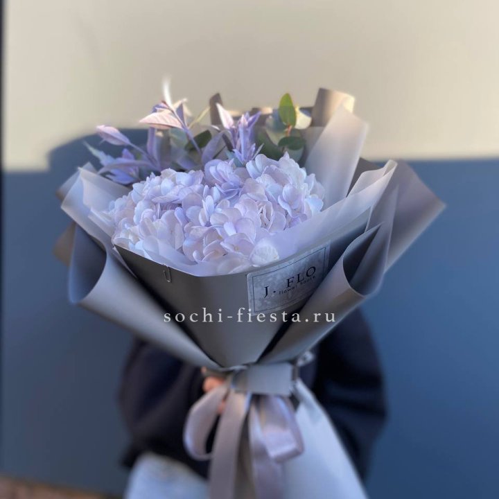 Гортензия "Виолета" в Хабаровске