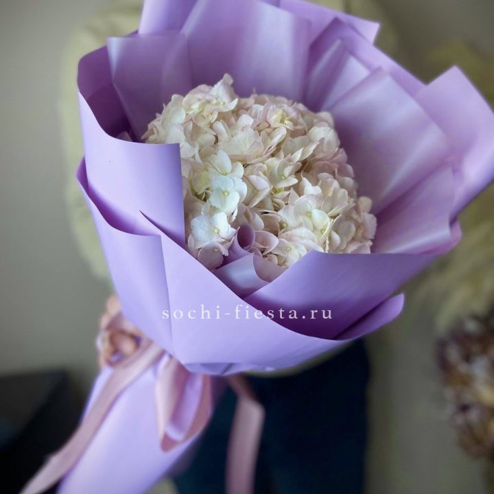 Гортензия розовая в Хабаровске