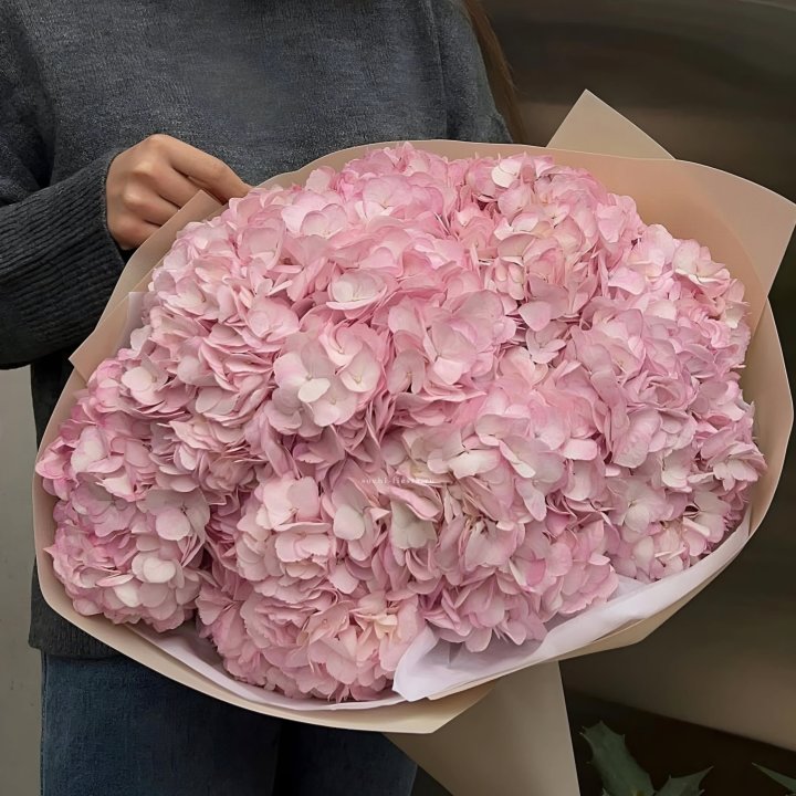 Гортензия  "РОЗЕ" в Хабаровске