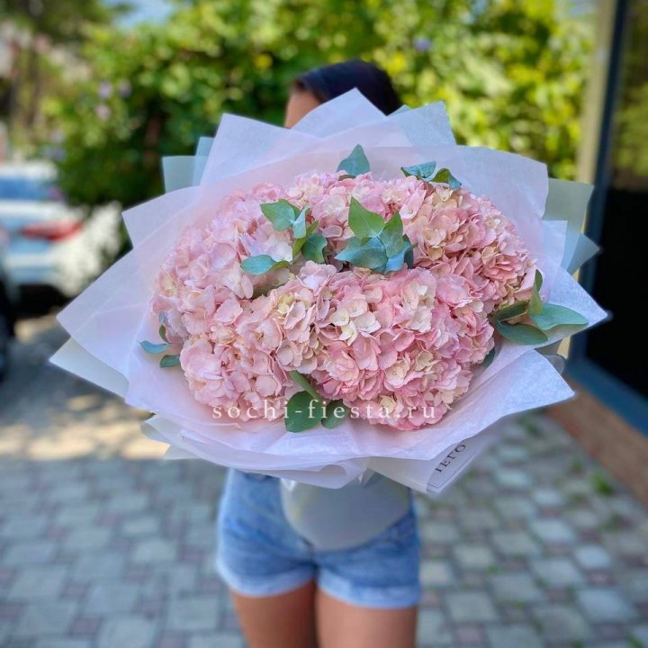 5 розовых гортензий  в Хабаровске