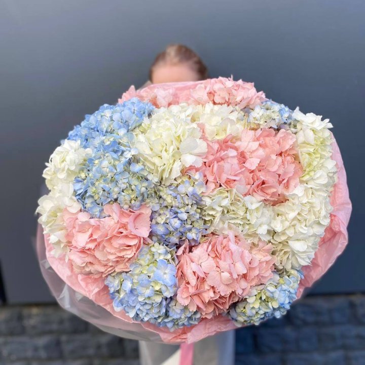 19 гортензий микс в Хабаровске