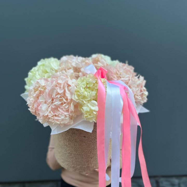 7 гортензий в кашпо в Хабаровске