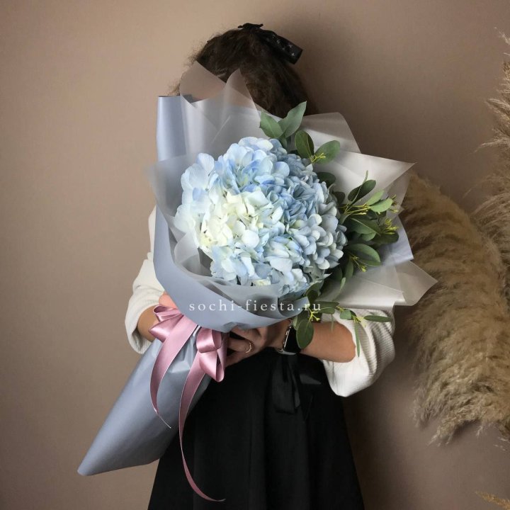 Гортензия Уно в Хабаровске