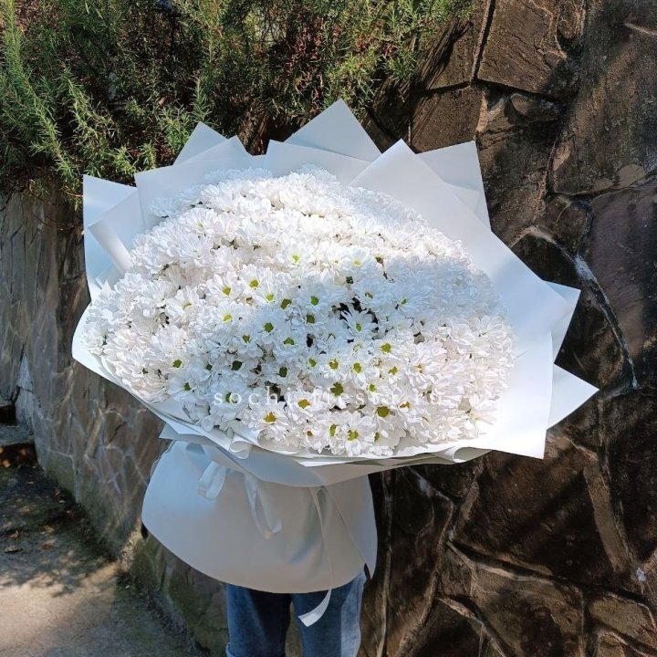 Облако хризантем №2 в Хабаровске