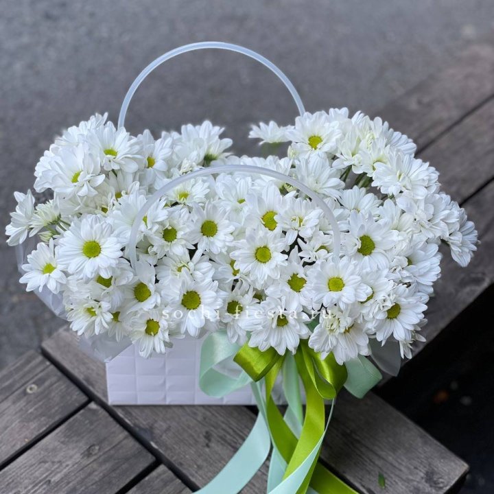 Сумка с хризантемами ромашками в Хабаровске