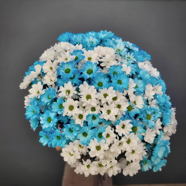  Букет хризантем микс в Хабаровске