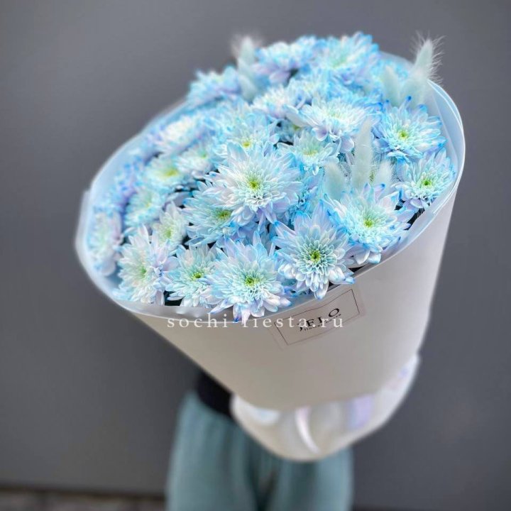  Букет нежно-голубых хризантем  в Хабаровске