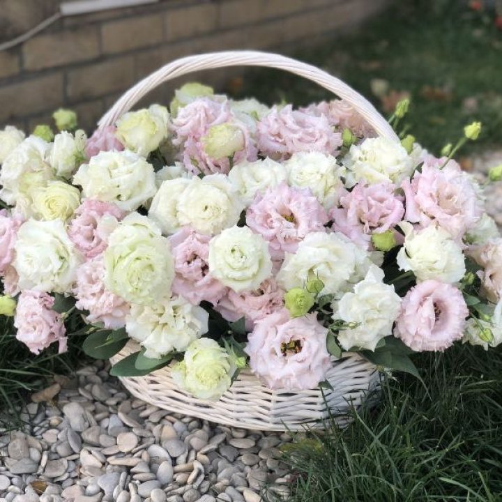 Корзина с эустомой в Хабаровске