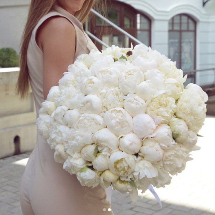 51 белый пион в Хабаровске