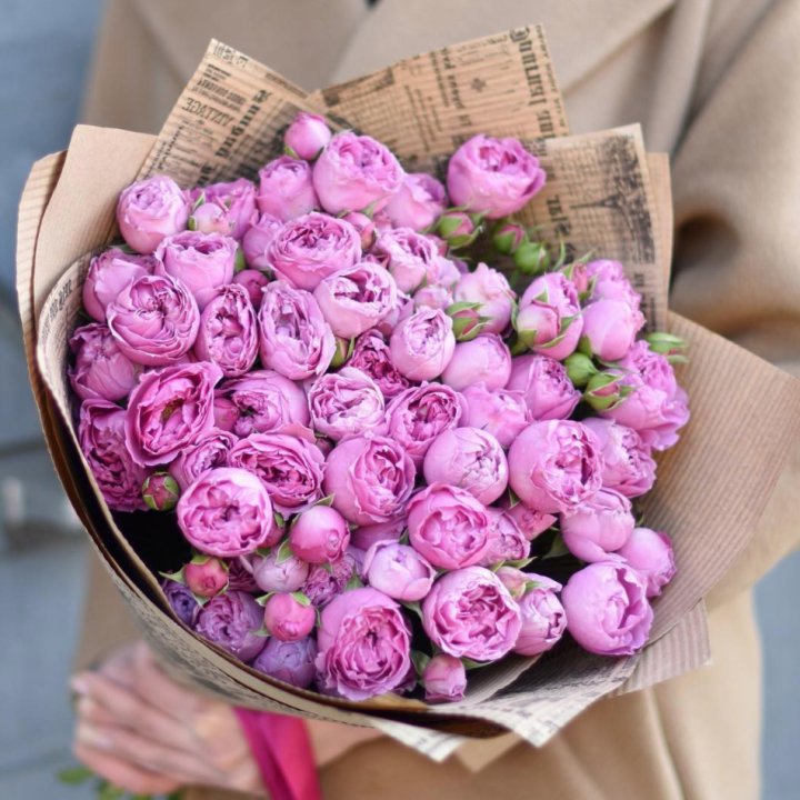 Роза Мисти Баблс в Хабаровске