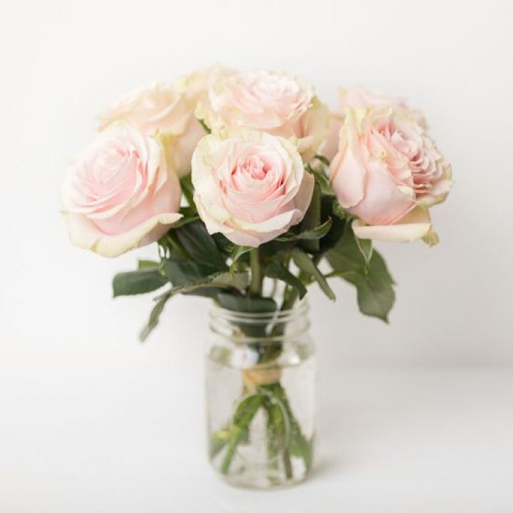 7 кремовых роз в Хабаровске