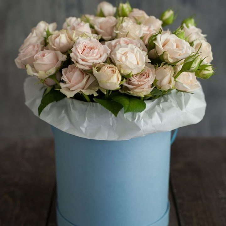 Бокс с бомбастиком в Хабаровске