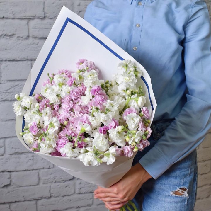 Маттиола в Хабаровске