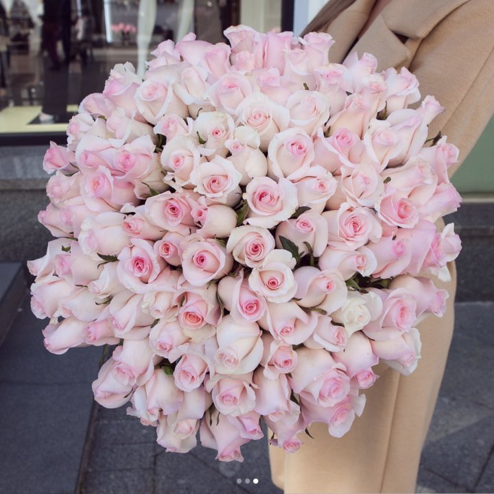 Розы "Пинк бум" в Хабаровске