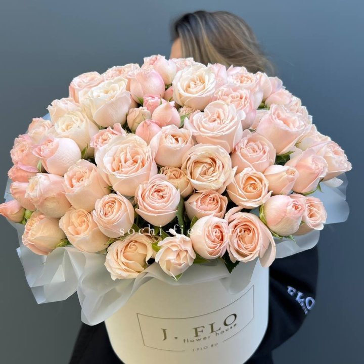 Бомбастик бокс Премьер в Хабаровске