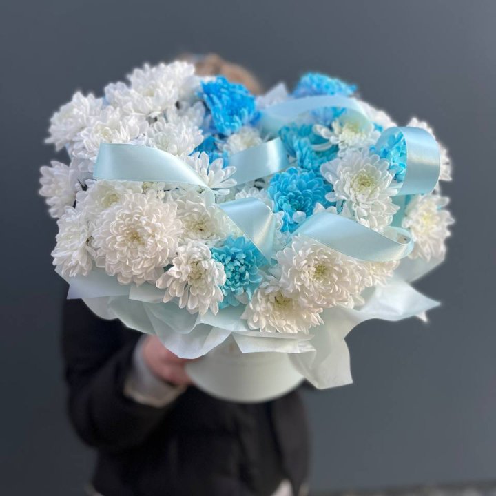 Хризнтемы в боксе в Хабаровске