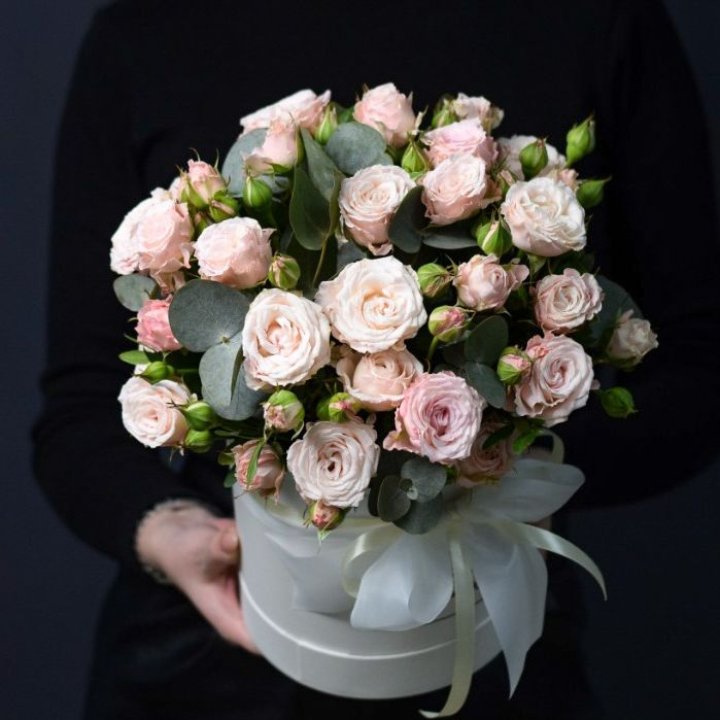 Бомбастик бокс №2 в Хабаровске