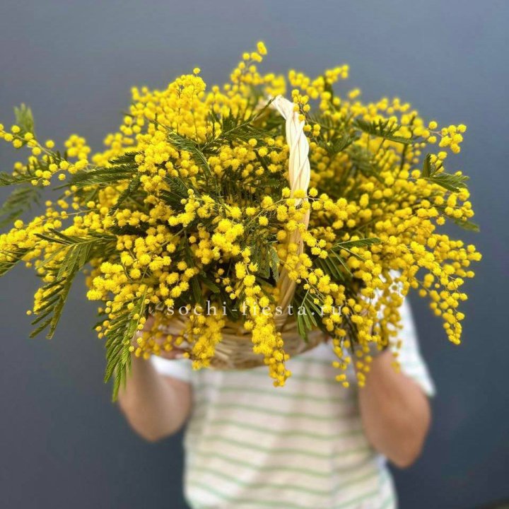 Весенняя корзина мимозы в Хабаровске
