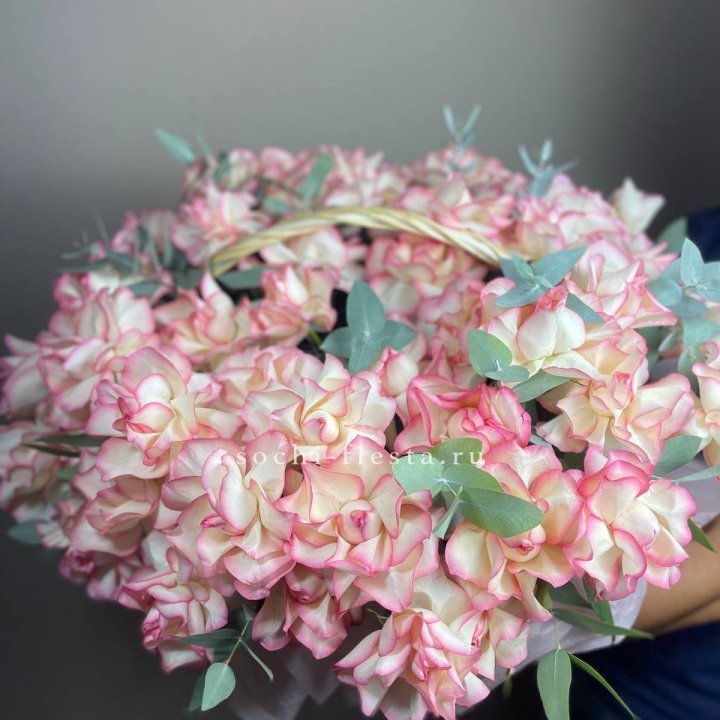 51 джумилия  в корзине   в Хабаровске