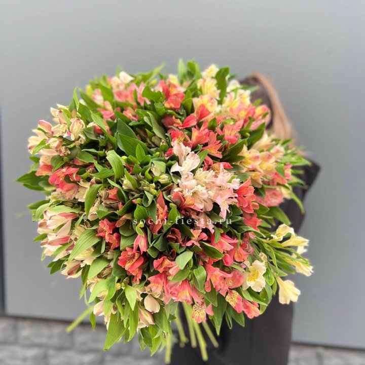 51 альстромерия в Хабаровске