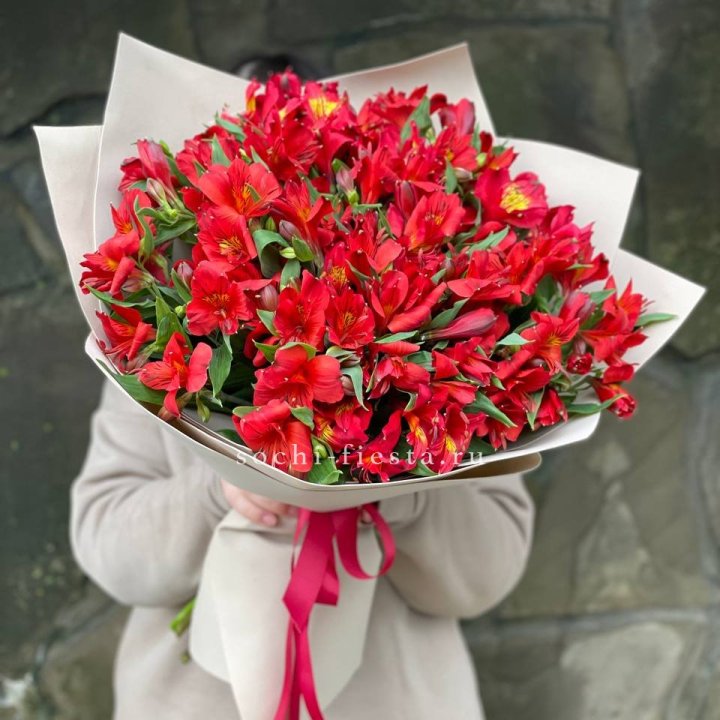 51 альстромерия в Хабаровске