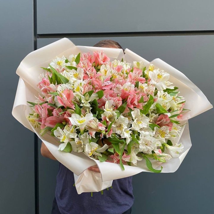 39 альстромерий в Хабаровске