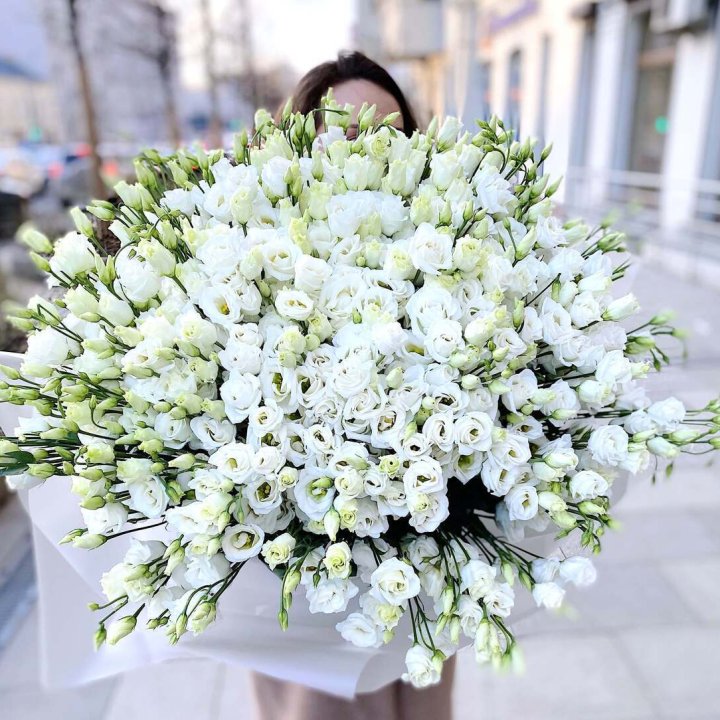 101 белая эустома в Хабаровске