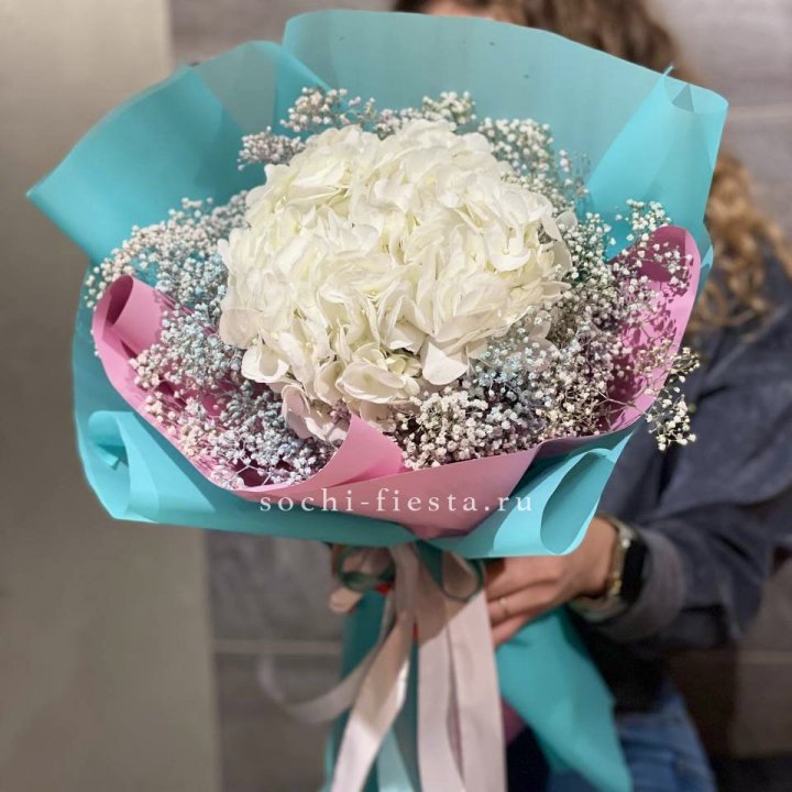 Гортензия "Райдов" в Хабаровске