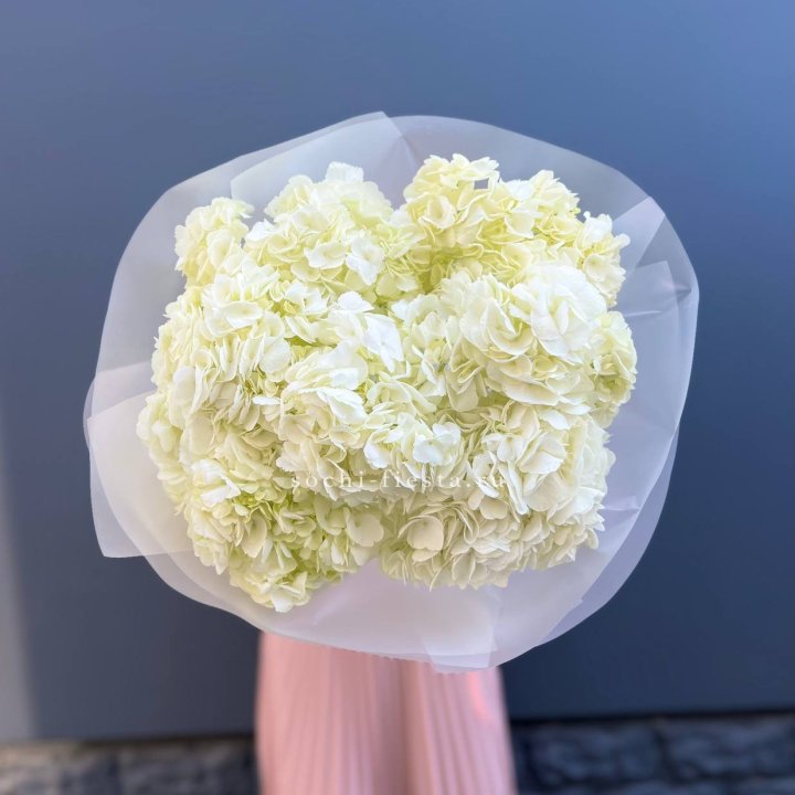 7 белых гортензий в Хабаровске