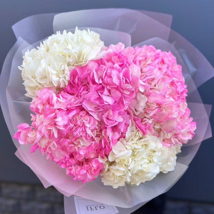 5 бело-розовых гортензий в Хабаровске